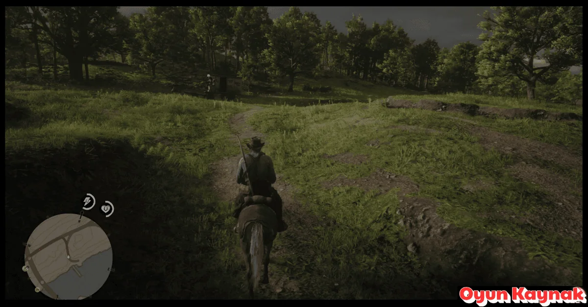 Red Dead Redemption 2 indir