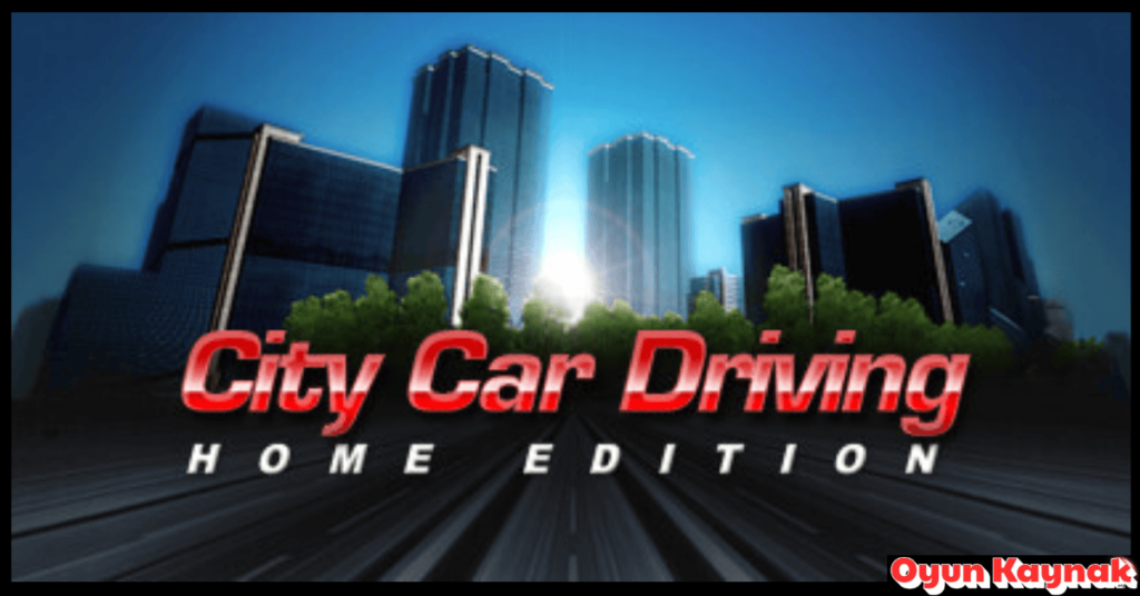 City Car Driving İndir